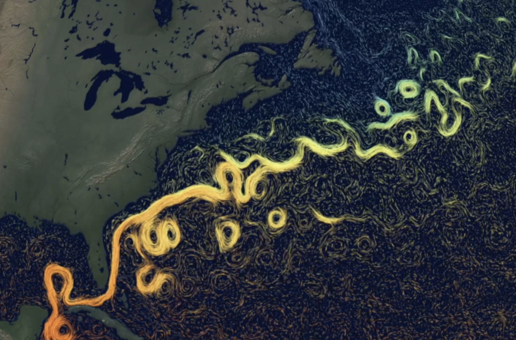 A Small Hint of Big Trouble in the Oceans - EarthDNA™